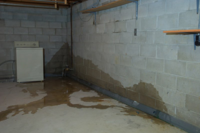 Wet Basement